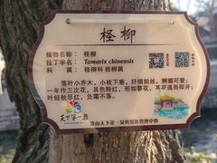 -铜来聚老北京涮肉(恒隆广场店)