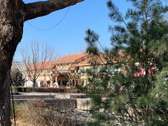 -南宫五洲植物乐园