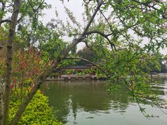 -西湖公园(鼓楼区)