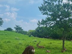 -良渚古城遗址公园