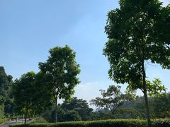 -火炉山森林公园
