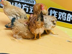 -沈阳百联购物中心(青年大街店)