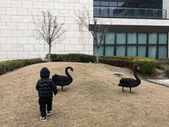 -行者书屋大堂吧 ·下午茶(南京圣和府邸酒店)