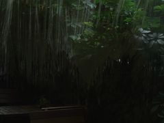 -绿小院(荔湾店)
