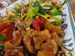 -柴窝堡22号辣子鸡·传承新疆菜