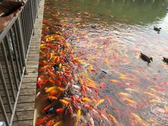 -泰安地下龙宫景区