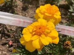 -长春公园(普阳街道)