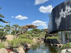 -罗红摄影艺术馆