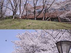 -浙江大学(玉泉校区)