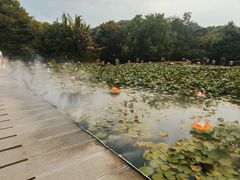 -白马涧龙池景区