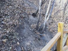-大岭沟猕猴桃谷风景区