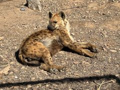 -大连森林动物园