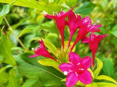 -中关村生命科学园