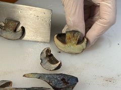 -芸山季·云南山珍菌火锅(人民广场来福士店)