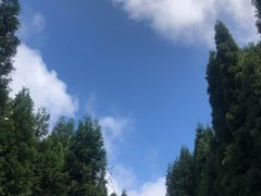 -武陵山森林公园