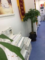 -蕾特恩专业祛痘国际连锁