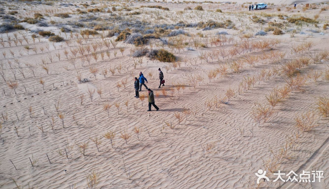 蚂蚁森林小树苗我来啦[调皮]