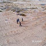 蚂蚁森林小树苗我来啦[调皮]