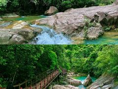 -广州白江湖森林公园