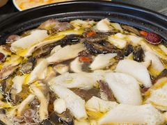 -野菌皇海景野生菌火锅(滨海大道店)