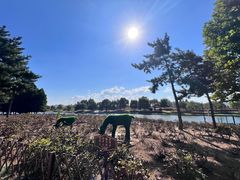 -羊亭河湿地公园