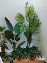 -VE专注问题肌·赛诺龙&科学美肤中心