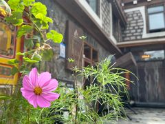 -四姑娘山阿巴郎·藏式花园餐厅