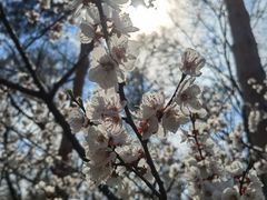 -黑龙江省森林植物园
