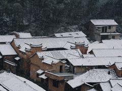 -杨家堂村