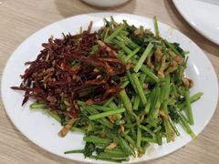 辣椒肉丝-姥家春饼店(漳州二路店)