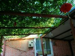 店外环境-天羽烤乳鸽店(财大家属院店)