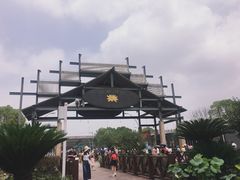 -荷塘月色湿地公园·向阳花洲