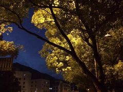 普吉岛爱维斯塔度假村-普吉岛卡塔阿维斯塔诺富特酒店度假村