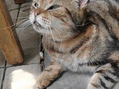 -老屋咖啡