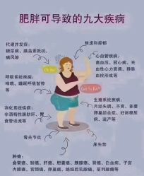 -香薇妮丝·定制减肥·身材管理