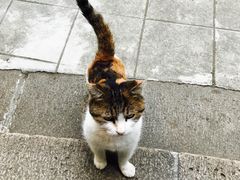 -巴金故居