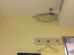 -海友酒店(上海静安寺店)