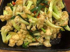 -邵年鸽(杨庄店)
