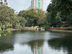 -晓港公园