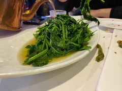 清炒丝瓜尖-渝信川菜(工体店)