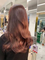 -潘多拉Hairsalon