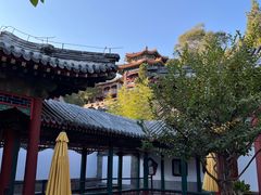 -宫事颐庭·老佛爷贵寿下午茶(颐和园店)