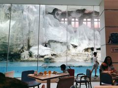 -帝企鹅自助餐厅•儿童岛•真企鹅(长隆企鹅酒店)