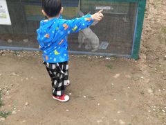 -廊坊固安福朋喜来登酒店