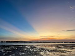 -宝安西湾红树林湿地公园