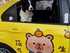 -大连理工大学(凌水校区)