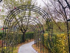 -福建鲤鱼洲酒店