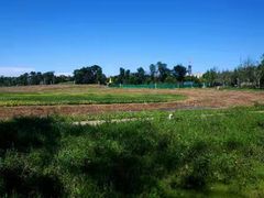 -三圣花乡旅游区