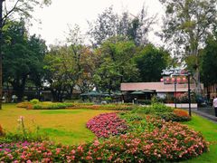 -玫瑰园餐厅