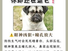 -美联众合动物医院·24h转诊中心